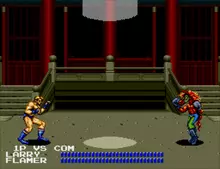 Image n° 5 - screenshots  : Fighting Masters